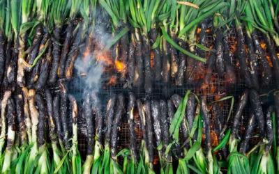 ¿Calçotada? Te lo Contamos Todo Aquí