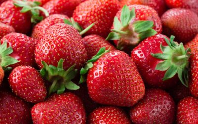 ¿Quieres Saber Cuando es la Temporada de Fresas?