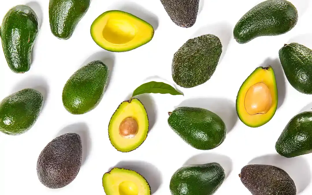 Diferencias entre Aguacate, Avocado y Palta. 3 Nombres para un mismo Producto